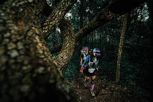 BIB: 
                            <button type="button" onclick="openModal(25693964)" class="btn btn-primary btn-sm float-right btn-popup" data-toggle="modal" data-target=".modal-high-quality">
                        <i class="fas fa-shopping-cart"></i> Add to Cart
                    </button>
                                            <button type="button" onclick="isThisMe(25693964, true)" class="btn btn-success btn-sm float-right btn-popup btn-isme hidden" data-toggle="tooltip" data-placement="bottom" title="นี่คือรูปของคุณใช่ไหม คลิกที่นี่เพื่อเอาเข้าอัลบั้ม">
                        <i class="fas fa-plus"></i> Add to album
                    </button>
                    <button type="button" onclick="isThisMe(25693964, false)" class="btn btn-warning btn-sm float-right btn-popup btn-isnotme hidden">
                        <i class="fas fa-ban"></i> Remove from album
                    </button>